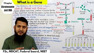 What is Gene  Concept of gene  FSc MDCAT Federal board NEET biology in Urdu and hindi [upl. by Pressey]