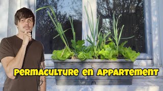 Comment crée un POTAGER en jardinière pour de grosses production de légumes [upl. by Nossah]