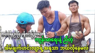 People taste Healthy Low Calorie Meal for Weight Loss amp Lean Muscle [upl. by Suzetta]