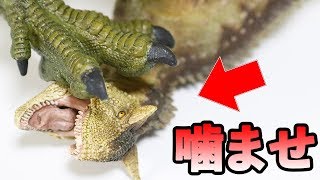 最強の噛ませ恐竜カルノタウルス【ジュラシック・ワールド 炎の王国】 おもちゃ Jurassic World [upl. by Sedaiuqlem457]