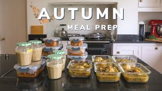 Autumn meal prep for the month 18 freezer meals [upl. by Atnad433]