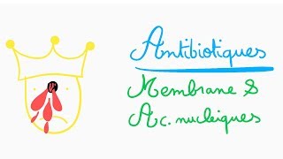 🔴 ASTUCES ANTIBIOTIQUES MEMBRANE ET AC NUCLEIQUES   DR ASTUCE [upl. by Esaele]