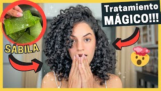 🤩Tratamiento de SÁBILA ALOE VERA🌵 MUY FÁCIL y EFECTIVO para un Cabello Rizado SALUDABLE y HERMOSO😍 [upl. by Cirdek]