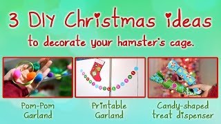 3 DIY Christmas ideas to decorate your hamsters cage [upl. by Yrrem]