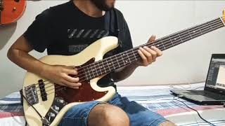 Simmer  Hayley Williams  Bass cover [upl. by Lleneg]