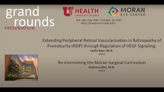 Extending Peripheral Retinal Vascularization in ROP Reenvisioning the Moran Surgical Curriculum [upl. by Price]