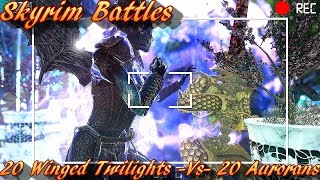 Skyrim Battles  20 Winged Twilights Vs 20 Aurorans Legendary Settings [upl. by Aelanna]