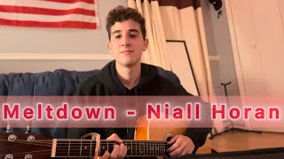 Meltdown  Niall Horan Guitar Cover [upl. by Burrows]