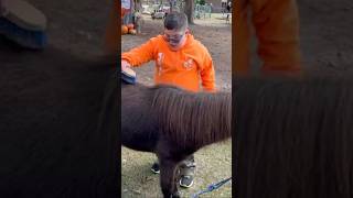 Manny on the farm brushing a pony inclusion therapy miraclemanny [upl. by Oza574]