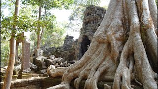 Cambodia Siem Reap Temples of Angkor IMPRESSIONS GALLERY  fantastic I [upl. by Latonia584]