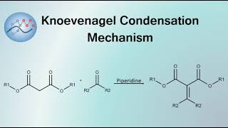 Knoevenagel Condensation Mechanism  Organic Chemistry [upl. by Hanselka]