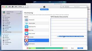 MP3 Audiobook Player  How to add a book via iTunes [upl. by Velasco]