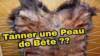 Comment Tanner Une Peau  100 Naturel [upl. by Oleic]