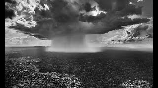 A Amazônia pelas lentes de Sebastião Salgado [upl. by Cimah891]