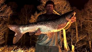 REELFOOT LAKE BOW FISHING [upl. by Annecorinne]