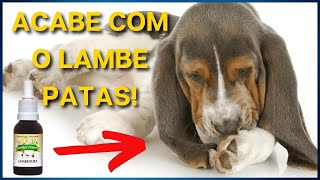 Use este PRODUTO para RESOLVER O PROBLEMA Cachorro lambendo a pata Causas e COMO RESOLVER [upl. by Ajed]