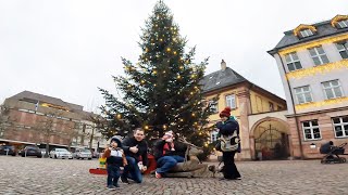 Der Miltenberger Weihntnachtsmarkt 2024 Weihnachtsmarkt Miltenberg [upl. by Ahsiek]