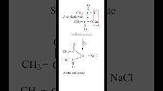 Preparation of Acetic anhydride  Acetyl Chloride  Sodium Acetate  organicchemistry  neet2023 [upl. by Ocnarf705]