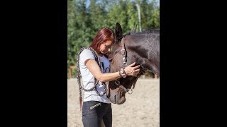 Wie man das Vertrauen eines Pferdes gewinnt Beispiel Shire Horse [upl. by Rikki]