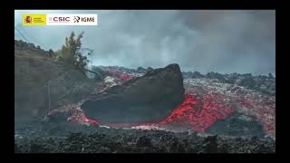 Day 31 Massive boulder dragged down lava river La Palma Volcano [upl. by Adniuqal949]