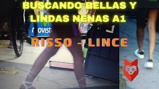 🔥Tour Chongo por risso linceexplorando a las chicas lindas de la zona🔥 [upl. by Warford]