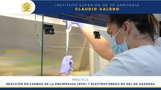 Reacción en cadena de polimerasa y electroforesis en gel de agarosa Laboratorio Clínico y Biomédico [upl. by Choong491]