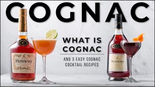 What is Cognac with Hennessy amp 3 Delicious Cognac cocktails [upl. by Oiluarb]