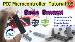 PIC Microcontroller Programming Tutorial 02  Project Creation and Blinking LED Code [upl. by Einre955]