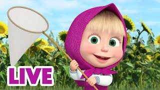 🔴 LIVE STREAM 🎬 Masha and the Bear 🙌🤩 Weekend with Masha 🗓️👧 [upl. by Ilrahs]