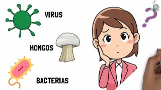 Diferencias entre virus ☣ bacterias 🦠y hongos 🍄 Video animado y con ejemplos [upl. by Armallas]