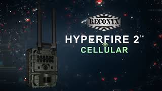 HyperFire 2 Cellular Camera [upl. by Retha]