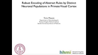 Robust encoding of abstract rules by distinct neuronal populations in primate visual cortex [upl. by Ammon536]