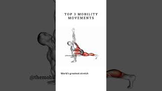 The BEST Stretching Exercises for Mobility amp Flexibility DO THESE [upl. by Sielen]