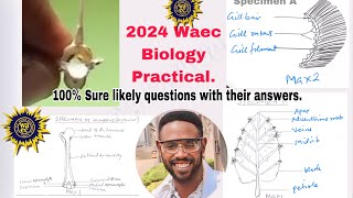 Waec 2024 Waec BIOLOGY PRACTICAL GUIDE 100 Sure questionsHow to draw and label specimens [upl. by Neraj]