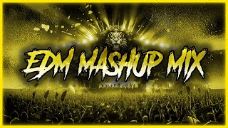 EDM Mashup Mix 2024  Best Mashups amp Remixes of Popular Songs  Party Music 2024 [upl. by Adehsar760]