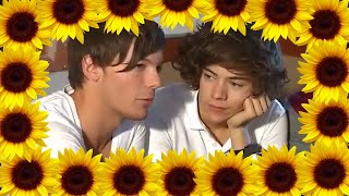 Harry amp Louis  My eyes want you more than a melody  Larry Stylinson [upl. by Aicercal]