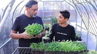 Fastest Method To Grow Dhaniya Patta  How To Grow Cilantro Coriander [upl. by Beau]