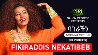 Fikiraddis Nekatibeb  Bagerachin  ፍቅርአዲስ ነቃጥበብ  ባገራችን  Ethiopian Music [upl. by Lyndel923]