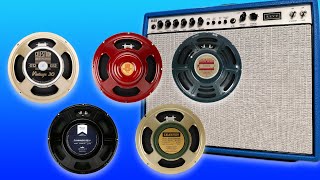 5 Different Speakers in the Same Amplifier  I’m Stunned [upl. by Gee43]