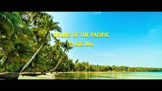 DRUMS OF THE PACIFIC  Avaiki Nui  COOK ISLANDS MUSIC [upl. by Nosraep]