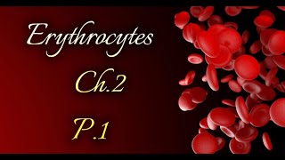 Erythrocytesكريات الدم الحمراء Ch2p1Hematology [upl. by Akinor]