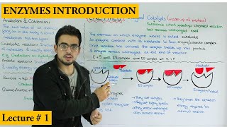 Chapter Enzymes  Enzyme introduction Metabolism and Properties of enzymes [upl. by Sirronal]