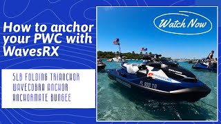 The best way to anchor your PWC with wavesrx Trianchor WaveCobra Anchor and Anchormate Bungees [upl. by Nnarual]