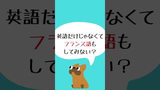 フランス語初心者のための参考書ルート！ フランス語 参考書 [upl. by Adiana]