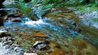 Relaxing River Sounds Mountain Stream Waterfall Gentle Stream for sleep study insomnia [upl. by Sada]