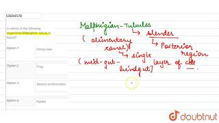 In which of the following organisms Malpighian tubule is found [upl. by Orravan]