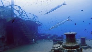 Malta Dive Sites  Um El Faroud Wied izZurrieq [upl. by Annor]