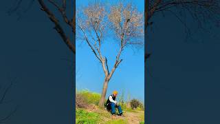 Dil Jeha Nahi Manda Song By Gulab Sidhu Punjabi Song shortvideo viralvideo ytshorts trending [upl. by O'Brien]