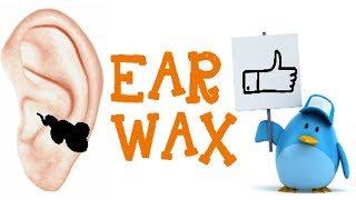 Ear Wax  Do we need it  Does it have benefits [upl. by Shewmaker]