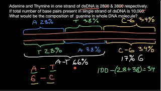 How to find DNA base composition [upl. by Laurette854]